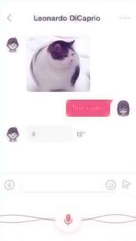 DDOS在线攻击平台软件程序维护界面